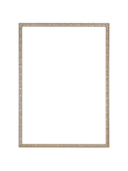 Rectangular wall mirror with a slim ornate gold frame