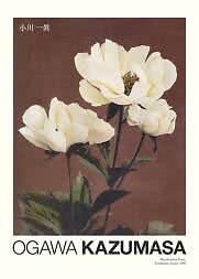 Vintage poster – Iris Kaempferi by Ogawa Kazumasa