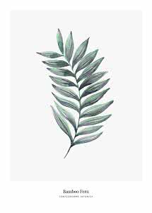 Botanical print with watercolor green bamboo fern on white background