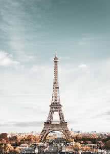 Frontalansicht des Eiffelturms in Paris über Stadt und Herbstbäumen unter hellem Himmel
