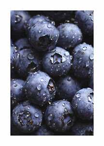 Close-up of fresh blueberries with water droplets