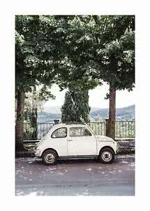 Small white vintage car parked under large trees overlooking rolling hills