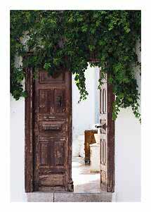 Old wooden doorway in a white wall, partly open and covered with lush green vines