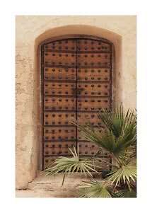 Puerta antigua de madera arqueada con remaches metálicos en pared clara, parcialmente cubierta por hojas de palmera