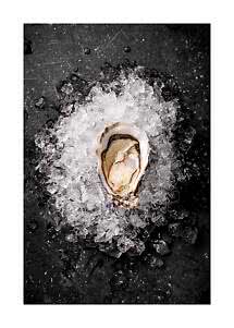 Open oyster on crushed ice on a dark surface, top view