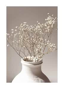 Fiori bianchi secchi in un vaso bianco opaco su sfondo beige chiaro