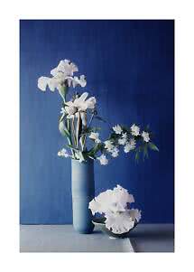 Weiße Blumen in einer hohen blauen Vase und einer kleinen Schale vor dunkelblauem Hintergrund