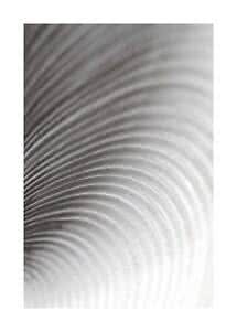 Abstract gray pattern with curved, flowing lines in soft tones