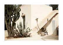 Casa mediterránea blanca con escalera exterior, cactus y grandes suculentas al sol