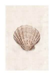 Brown scallop shell with ridged texture on a light beige background