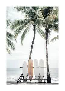 Four surfboards under palm trees on a calm beach by the sea