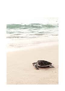Zeeschildpad op het zandstrand bij zee met kleine golven op de achtergrond
