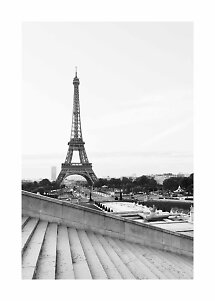 Schwarz-Weiß-Foto des Eiffelturms, gesehen von den Treppen am Trocadéro in Paris