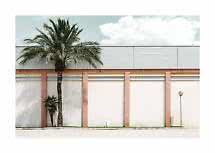 Palma davanti a edificio chiaro con colonne rosa, piccola palma e lampione sotto cielo azzurro