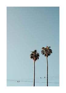 Two tall palm trees against a clear blue sky with birds on power lines below