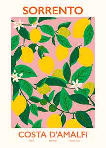 Affiche illustrée avec citrons jaunes, feuilles vertes et fleurs blanches sur fond rose, Sorrente