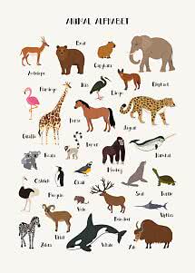Animal alphabet poster with illustrated animals from A to Z on a light background.