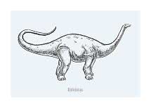 Illustration d’un dinosaure Diplodocus au long cou et à longue queue sur fond bleu clair