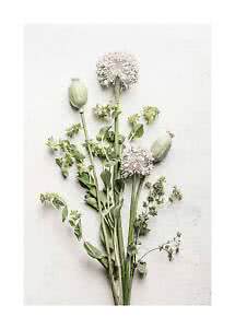 Bukett af vilde blomster med allium og frøkapsler på lys baggrund