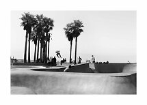 Black-and-white photo of a beachside skatepark with palm trees and a skateboarder mid-air
