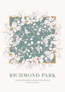 Floral poster with white blossoms around a green square, text: Richmond Park, London, United Kingdom