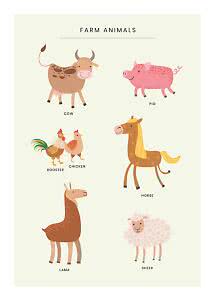 Poster with cute illustrations of farm animals: cow, pig, rooster, chicken, horse, llama and sheep.