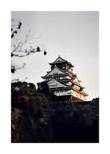 Castillo japonés sobre un muro de piedra con luz cálida del atardecer, visto desde abajo con ramas delante
