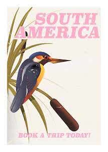 Poster di viaggio vintage con uccello colorato tra le canne e testo "South America".