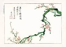 Japansk blomstertryk med grøn gren, lyserøde blomster og kalligrafi på hvid baggrund