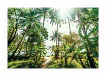 Luce del sole tra alte palme in una lussureggiante foresta tropicale con sentiero verso la spiaggia