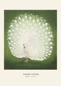 Art print of a white peacock with fanned tail on a green background, with text below.