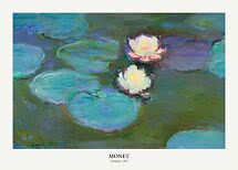 Póster de Nenúfares de Monet, 1897, con hojas verdes y dos flores claras sobre el agua