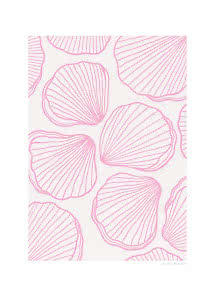 Poster mit rosa Muscheln als Linienzeichnung auf weißem Hintergrund