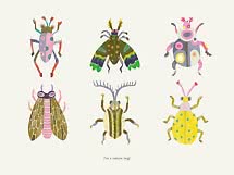 Illustration von sechs bunten Fantasie-Käfern auf hellem Hintergrund mit dem Text "I'm a nature bug!"