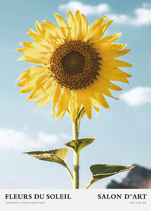 Poster d’arte con grande girasole giallo su cielo azzurro e testo "Fleurs du Soleil"