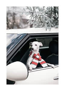 Lille hvid hund med stribet halstørklæde kigger ud af bilvindue under frostklædte grene
