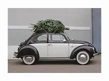 Auto d'epoca bianca e nera con albero di Natale legato sul tetto
