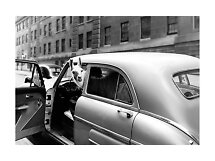 Schwarz-Weiß-Foto eines Lamas, das aus einem Oldtimer in einer Stadtstraße schaut