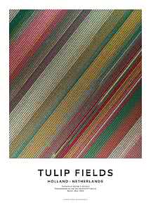 Poster med flygfoto av färgglada tulpanfält i diagonala ränder, Holland.