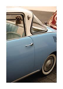 Coche vintage azul con techo blanco y un pequeño perro marrón en el asiento trasero