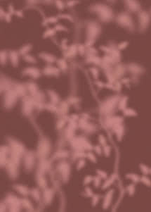 Leafy branches in pale pink drawn in soft focus across a deep oxblood ground