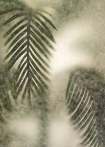 Two palm fronds overlapping behind frosted glass, one sharper and one dissolving into warm cream and brown haze