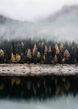 Tåget skov ved en stille sø med mørke graner og gyldne træer spejlet i vandet