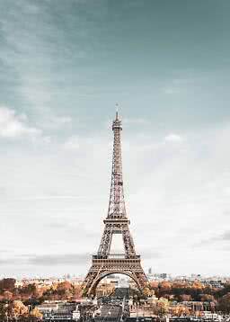 Frontalansicht des Eiffelturms in Paris über Stadt und Herbstbäumen unter hellem Himmel
