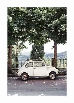 Small white vintage car parked under large trees overlooking rolling hills
