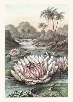Illustration of a tropical lake with large water lilies, birds, palm trees, a waterfall and a small boat