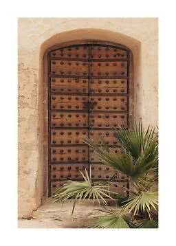 Old arched wooden door with metal studs in a light stucco wall, partly covered by palm leaves