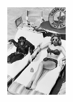 Black-and-white photo of a woman and chimpanzee in sunglasses on poolside loungers
