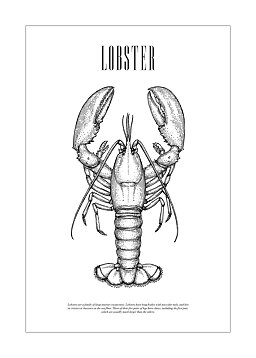Black-and-white poster with detailed lobster illustration and the word "LOBSTER"