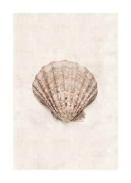 Brown scallop shell with ridged texture on a light beige background